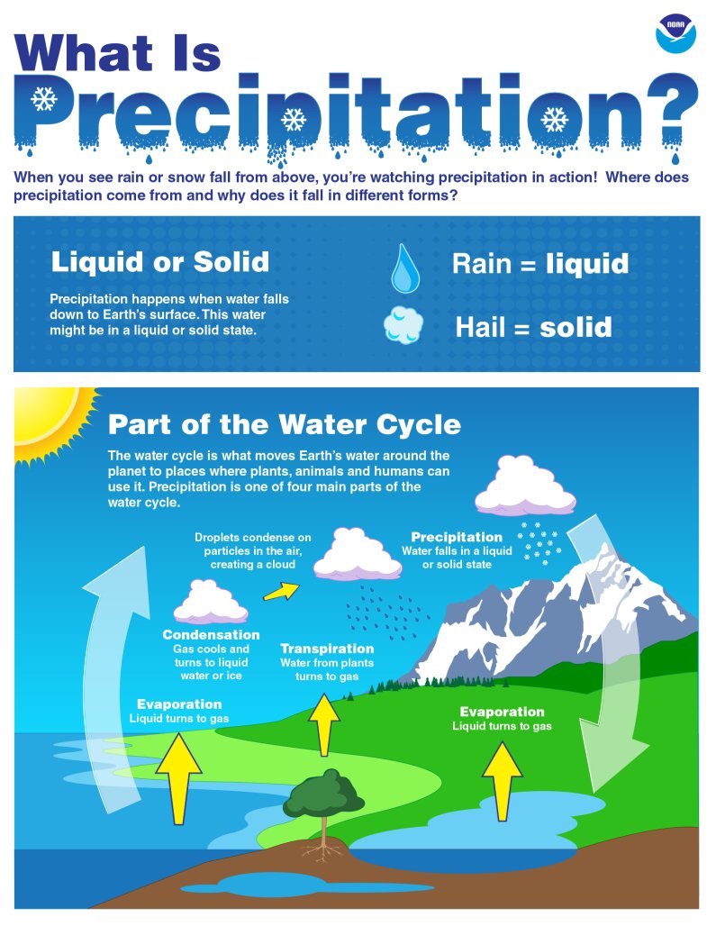 precipitation_water_cycle.jpg