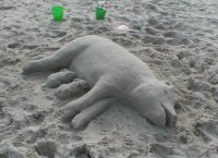 sand_pig.jpg