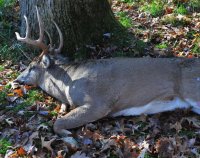 buck 2011_5_01.jpg