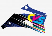 cvs graphics1.jpg