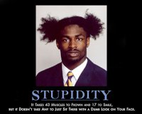 stupidity-12935.jpg