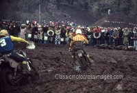 Weil%20and%20Howerton%20CMX.jpg