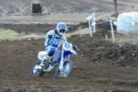 IMG_8219.jpg