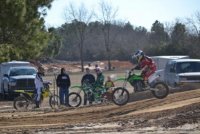DSC_0555 (500x333).jpg