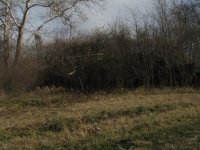 IMG_6038.JPG