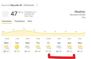 1738591540997.png