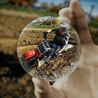 Pitracer_386
