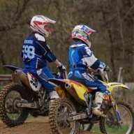 antmx231